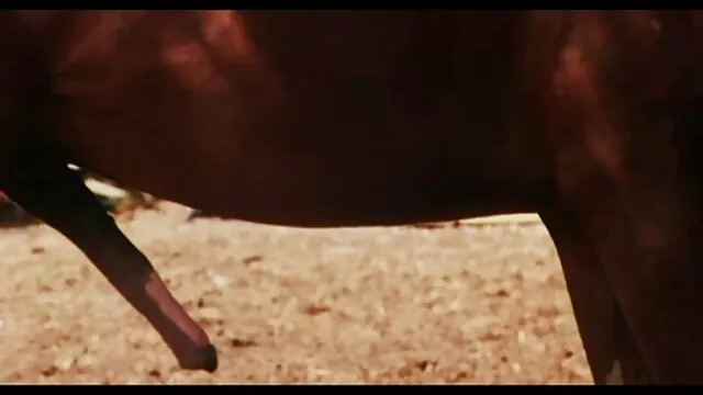 פורנו ללא רישום  לחברה היה רומן עם בעל עם פי הטבעת סקס חינם מילפיות השחור.