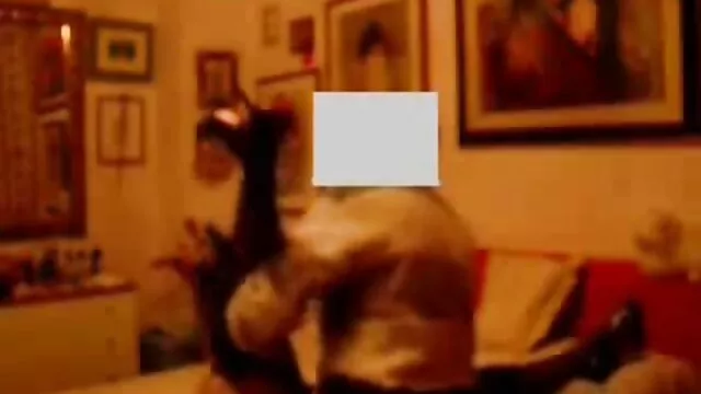 פורנו ללא רישום  ברונטית יפה בליהוק אתר סרטי סקס חינם ארוטי