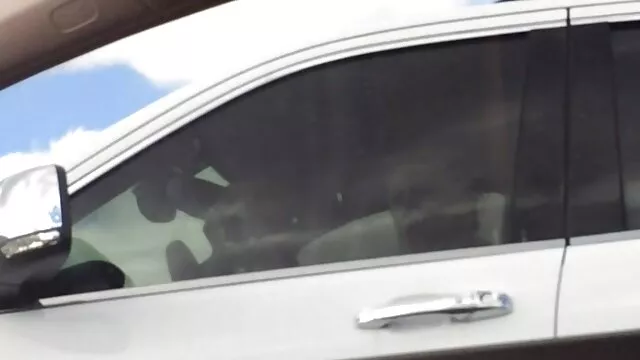 פורנו ללא רישום  גברות ציצים מצוירים שופעות ויברטור עמוק בתוך נרתיק